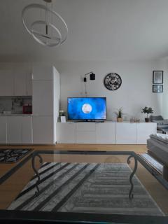 Modern Studio on the banks of the Danube - 4