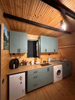 Cottage Naiosi in Pshavi - 1