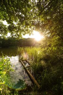 Domek Wśród Wód - 4