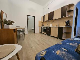 Ultra Central Apartament PMV - 9