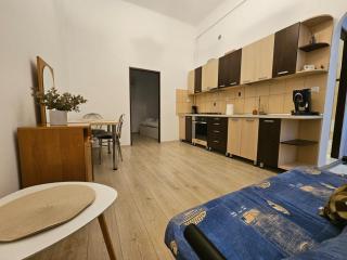 Ultra Central Apartament PMV - 4