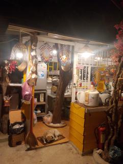 Nhà Xinh Sơn Hải Beach Homestay - Thôn Sơn Hải - 6