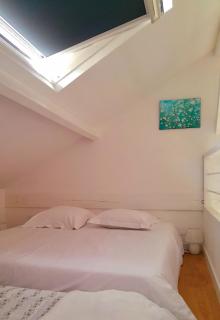 La Chouette Hulotte - - 2