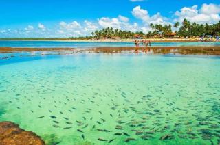 Makia Beach Porto Galinhas 223 - 7