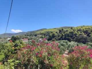 Villa Thea - 9