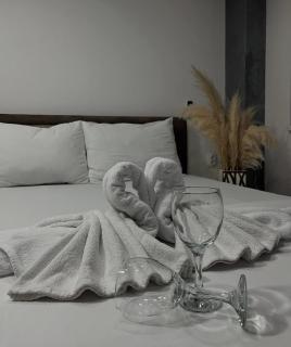 Sobe i Apartmani Casa Mia - Pećinci - 7