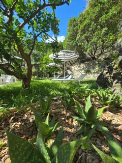 Pensione Sorriso - 6