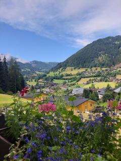 WALDVILLA Bad Kleinkirchheim - 9