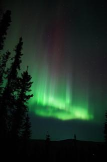 Artic Aurora Cabins - 9