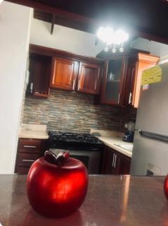 Apartamento en Santiago de los caballeros - 5