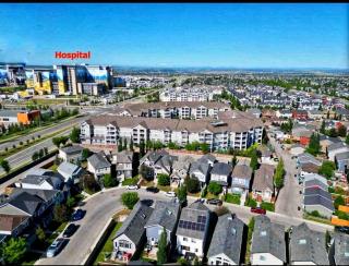 New 1 bdr basement apartment - Calgary - 1