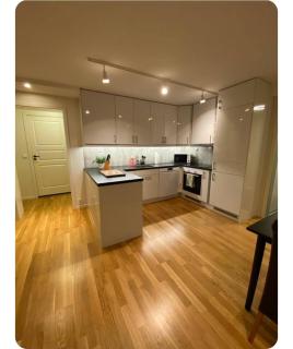 Leilighet med nærhet til sjø, skog og fjell - 5