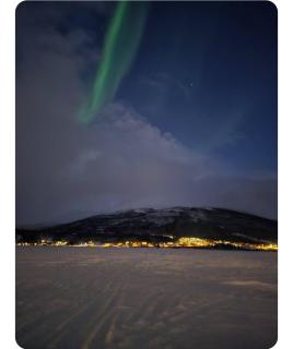 Leilighet med nærhet til sjø, skog og fjell - 3