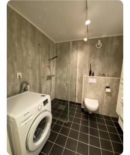 Leilighet med nærhet til sjø, skog og fjell - 2