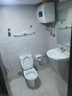 Golden tulip - 4