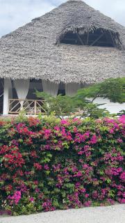 Nyumba ya Bubi - Watamu - 5