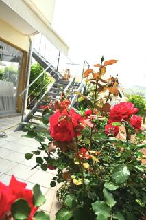 Mika's B luxury House near Faliraki - Kalithies - 9