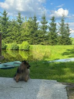 Domek Nad Stawem - 7