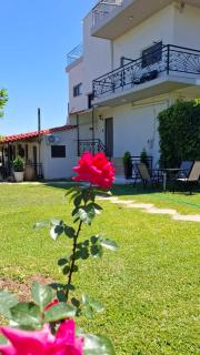 Nina's Cozy Home - 0