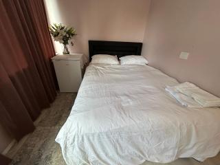 Shared Vinod house - 1