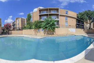 Pet-Friendly Midterm Apartment - 5