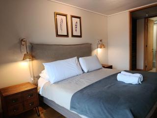 HOM I Conjunto frente a la Costanera 2D2B - Puerto Varas - 7