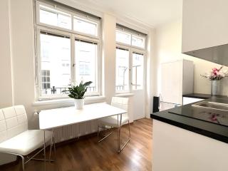 Terrace Apartment Prague Centre Wenceslas Square - 9