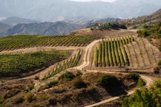 Oja Mountain Ridge - Ojai - 9