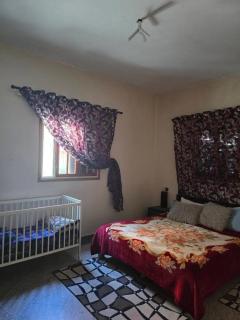 House appartement In SAIDA - Oulad Akkou - 6