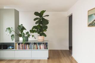 Jan Juc Family Nest - 8