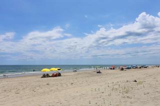 1215 - Sea Spirit - Corolla - 5