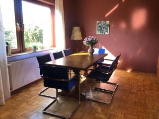 Exclusives Ferienhaus in Frankenau im Sauerland - 4