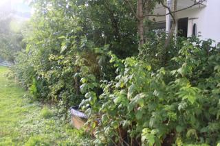 Beautiful 14 m2 room - - 1