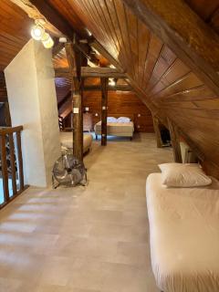 La jouvencay, 10 min Chambord, Cheverny, 25 min Beauval - Cour-Cheverny - 3