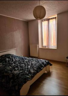 T3 Appartements chaleureux - - 1
