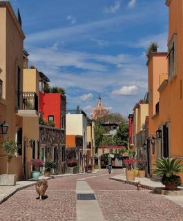 Artesana - Privately Owned Rosewood Residence - San Miguel de Allende - 8