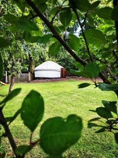 Bewley Glamping - Wambrook - 5