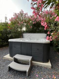 Maison La Djoon,Vue Cité, centre ville Spa Jardin - 8
