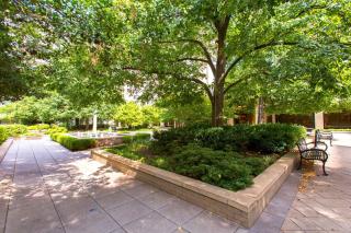 Stylish Crystal City Flat - Pool & Fitness - 1