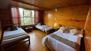 Minca El Dorado Reserve - 3