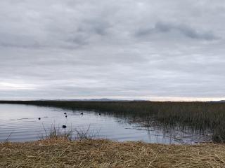 Titicaca Jutma Lodge - 5