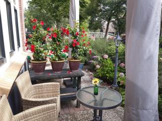 Apartment in Giethoorn by Scenic Canals - Giethoorn - 9