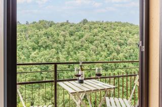 Casa Olmo - Vista sul bosco - Scrofiano - 7