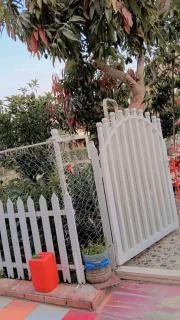قرية الجندول اسماعيليه - Ismailia - 6
