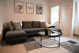 Ferienwohnung am Saaleknie - Rudolstadt - 8