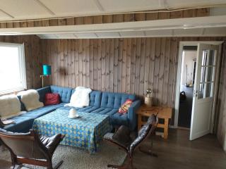 Gullingen Cabin - 4