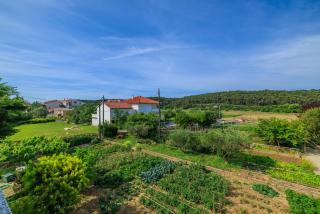 Apartments Petar - 1