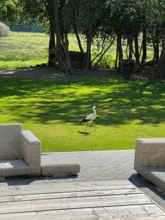 De Oude Pastorie - 5