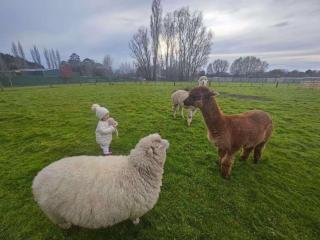 Hideaway of Rotorua - 9