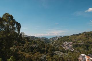 Zona Rosa y Sector TURISTICO - Manizales - 3